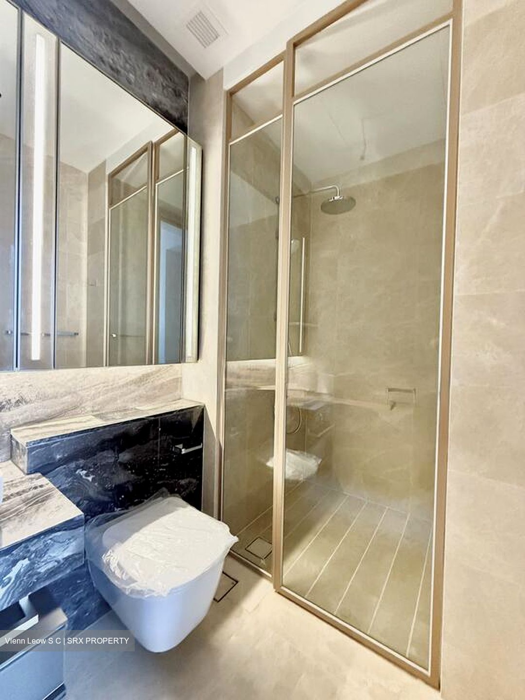 The Avenir (D9), Condominium #514785111